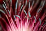 Poppy Interior_00618